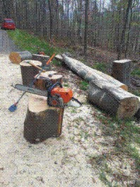 split logs preparation April 2022